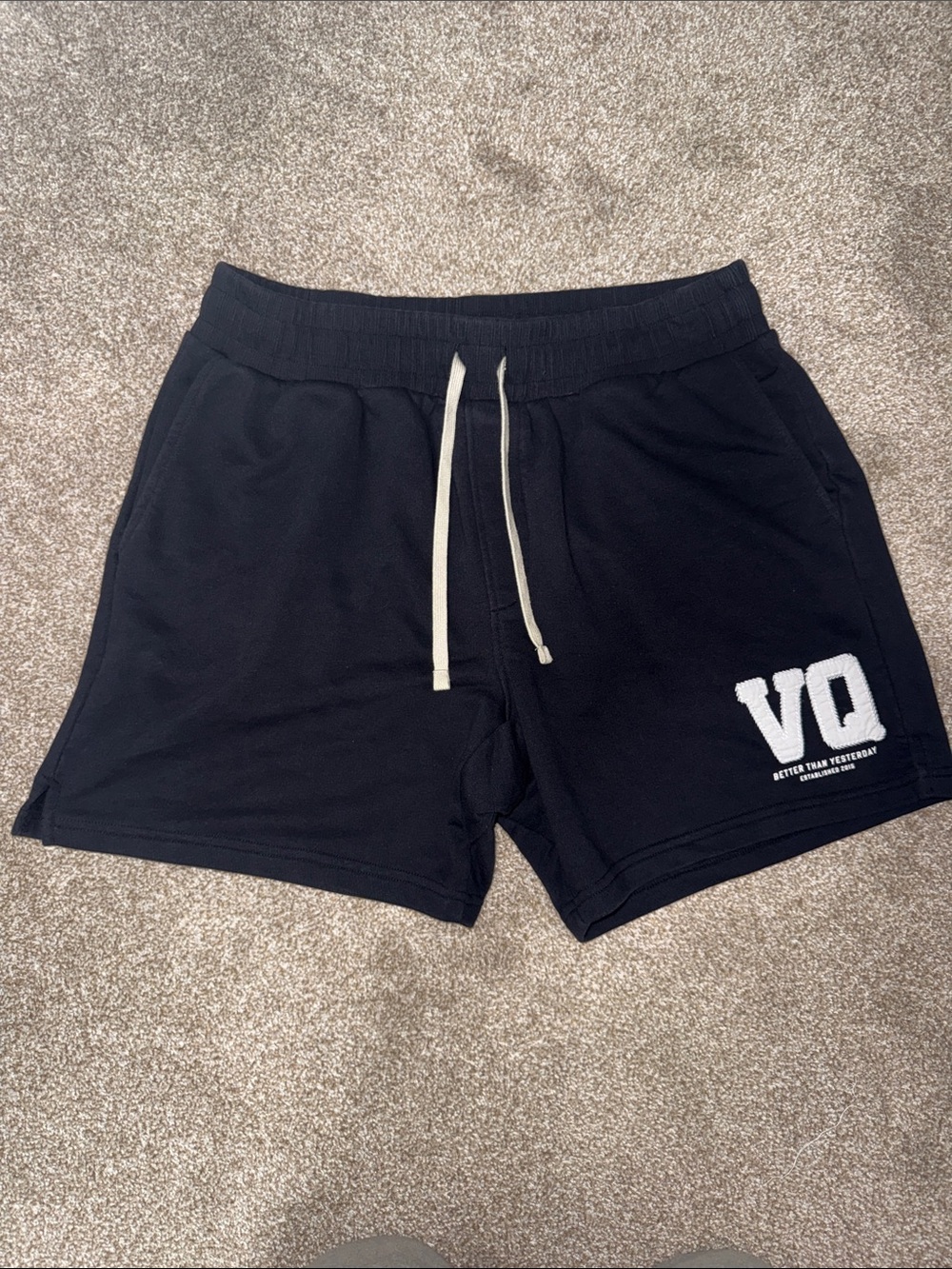 Vanquish Black Men’s Drawstring Shorts